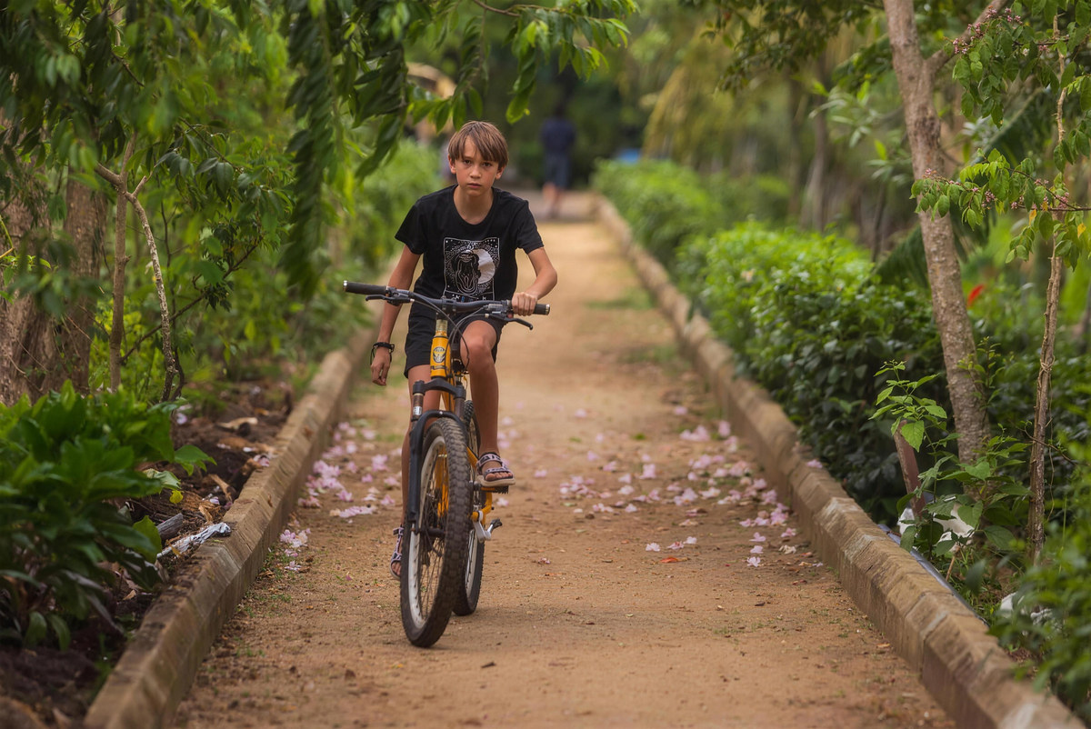 A boy cycling a farm path lined with tea