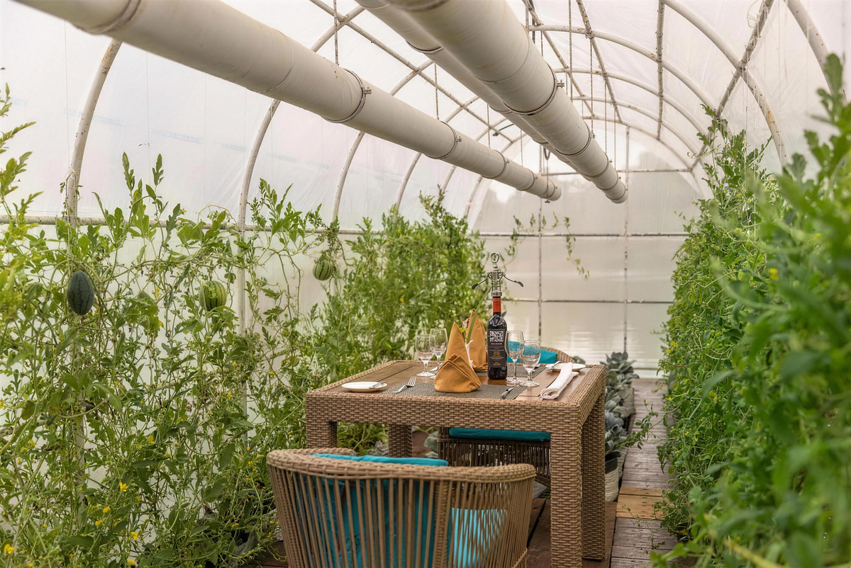 A table for two set inside the resort's greenhouse among growing vegetables