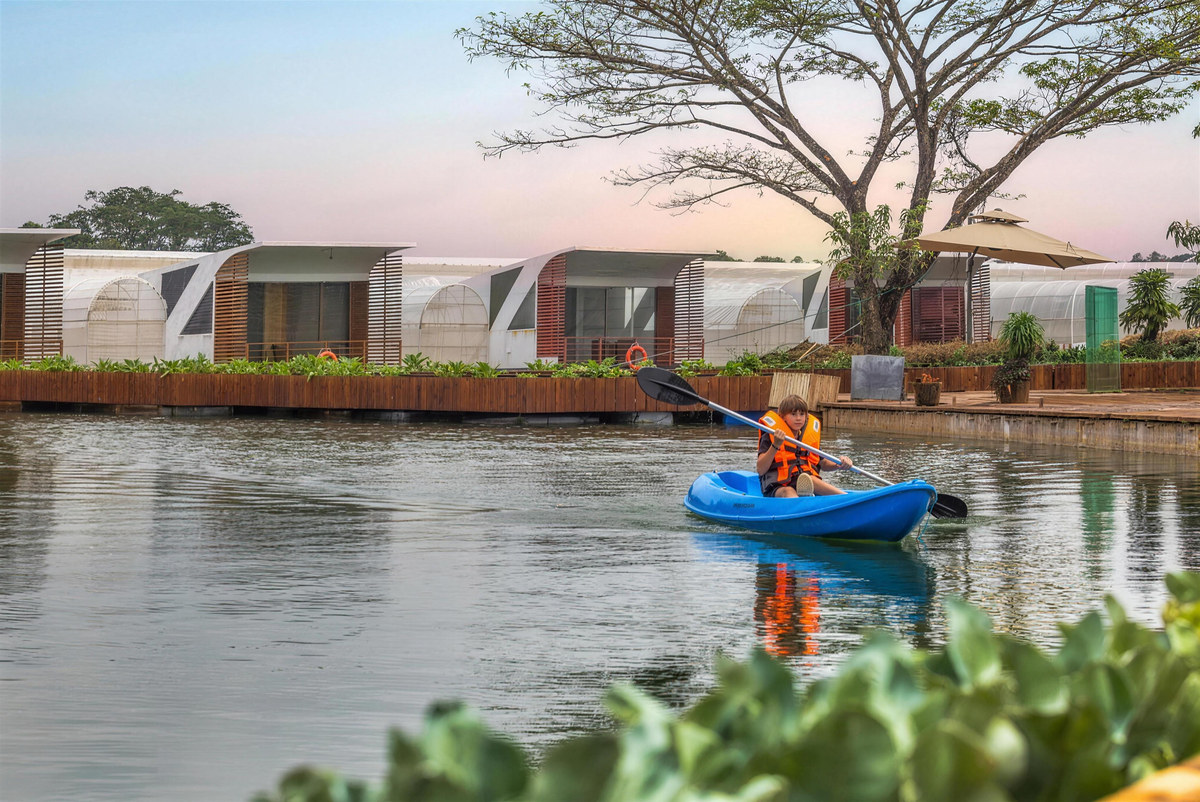 A guest kayaks past the row of white floating cabanas beneath a rain tree